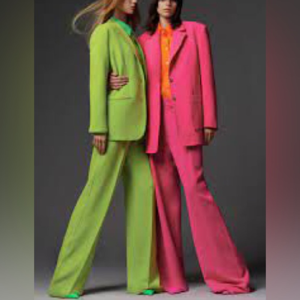 Zara Wide Leg Suit Pants